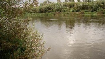 Вот сейчас обидный пост получился
Слова вроде бы неплохие, а картинки -...овно полное, уважаемый, Вы пишете про рыбалку или про пьянку? Если хочется бухнуть можно без проблем дома или в ближайшей лесополосе. Зачем это рыбалкой называть? Или это Вы так время проводите, но сказать "я пороть водку с бл...ми" язык не поворачивается, проще - "Я на рыбалку"? На рыбалке общаются с природой или, в крайнем случае, ловят рыбу