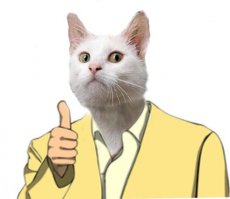 Петербургские разборки