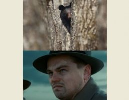 В гостях у медведя: как выглядит настоящая берлога изнутри