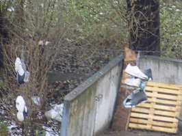 Я в Москве облазил за 8 лет уйму крыш, но вот уехал мой коллега поработать в Питер, так сказать для поднятия качества документации и шлет нам каждую неделю всякие приколы с крыш - честное слово, ну нет такого в Москве.