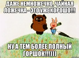 В гостях у медведя: как выглядит настоящая берлога изнутри