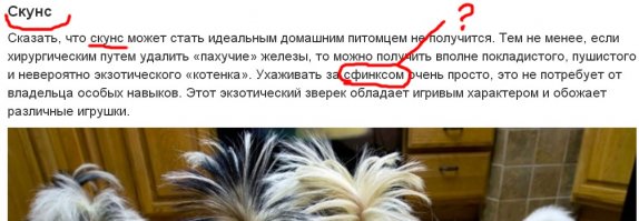 Не понял
