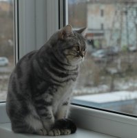 Этот ребенок двое суток кричал от ужаса и звал на помощь