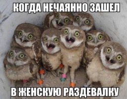 Подборка картинок