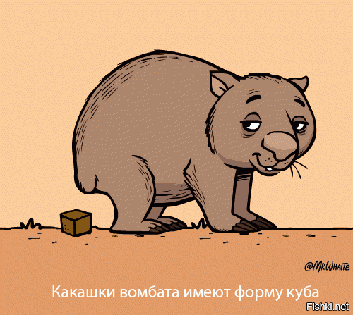 6 животных, которые творят немыслимое со своими экскрементами