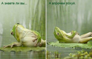 Знаете ли Вы? 4 Часть