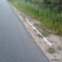 Свежая подборка автоприколов