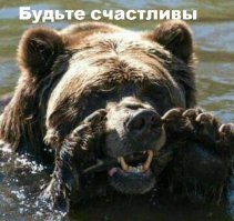 Свадьба по-русски: медведь благословляет жениха и невесту 