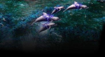 Когда в школе учился, я этими дельфинчиками флотилии альянса топил