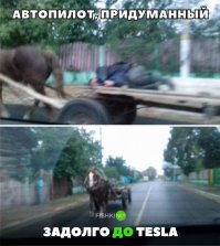 Был пост про эту лошадь. Она мужика в отдел ГИБДД привезла, а он в говно спал в телеге. Его за день до этого туда гайцы таскали за что то, и лошадь на автопилоте  туда-же притопала)))