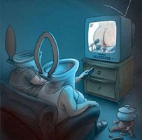 Иди телек включай, там твоя передача началась!