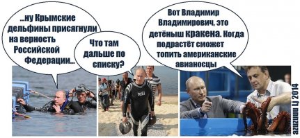 Как готовят боевых дельфинов