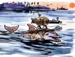 Как готовят боевых дельфинов