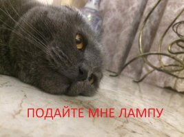  Мусор на стройке