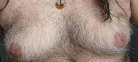 Гейши и демоны Йошихиро Татсуки