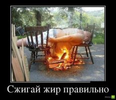 Они попыталась сесть на диету, но диета погнулась