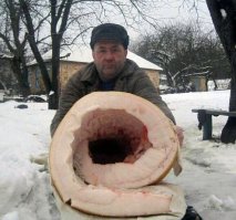 Откуда пришло солёное сало? В поисках настоящей родины любимого продукта