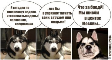 Размышления большинства, выглядит примерно так: