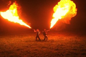 Интересные факты про ос