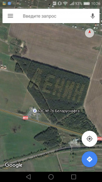 В ирландском лесу обнаружили огромный кельтский крест, сделанный из крон деревьев