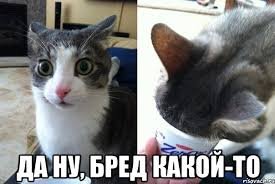О правах человека на жилище и кухонный гарнитур