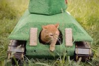 чёт мне кажется кошану танк не понравился.