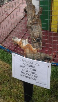 Мышь - бунтарка!