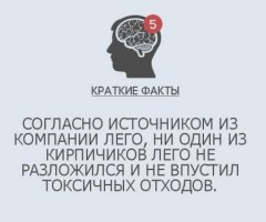 Шо это было?