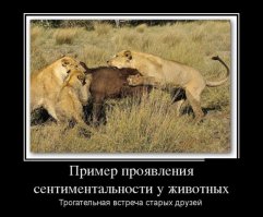 Встреча старых друзей... за ужином. :)