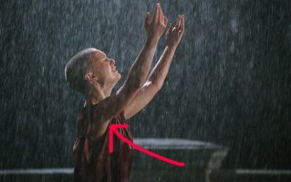 Не, ну а то, что не только подмышки, а и голова бритая, автор даже не заметил ?