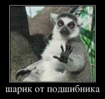 Из рубрики "Отдам даром"