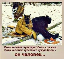 Он просто лежал и умирал. Но нашлась одна добрая душа!