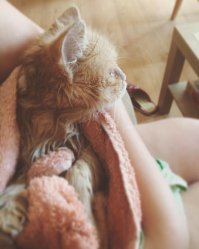 мы не мальчики, мы девочки:)
хоть и не эталоны красоты далеко:)