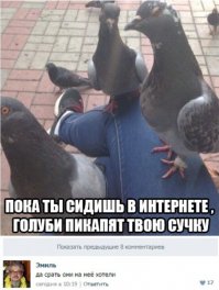 Смешные комменты из соцсетей и другие приколы нашего интернета