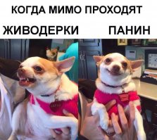 Смешные комментарии и высказывания из социальных сетей
