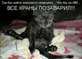 Специалист !