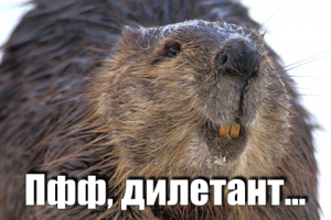 Собака пытается остановить поток воды