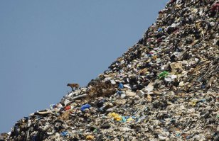 опустошить контейнеры мусоровозам мешал автомобиль... Итог спустя 1 год ....