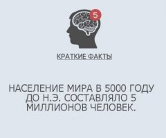 Кто считал? Везде смотрел?