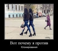 а жопок у клонов нету