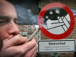 Если бы взял фрезу,а вместо шурупов..
было бы чисто по Голландски