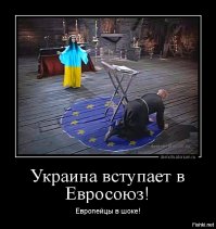 15 самых неожиданных вещей, продающихся на черном рынке в разных странах
