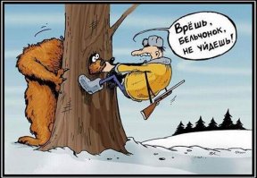 15 самых неожиданных вещей, продающихся на черном рынке в разных странах