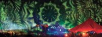Добро пожаловать на фестиваль YAga gathering В Литву.
Там Вы окунётесь в джунгли  =))) очень, очень рекомендую.
там же проекция на лес при входе