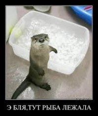 Верзаска - самая прозрачная река в мире