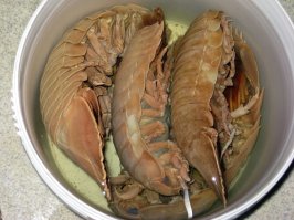 А я бы вот таких изоподов попробовал бы...)))