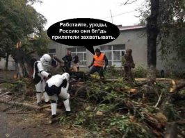 Смешные комменты из соцсетей и другие приколы нашего интернета