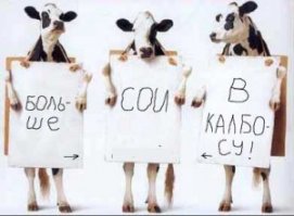 Вот ещё дикая.