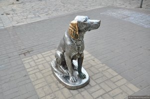 Белый Бим Черное Ухо, в Воронеже