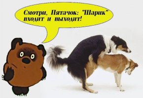 на это можно смотреть вечно